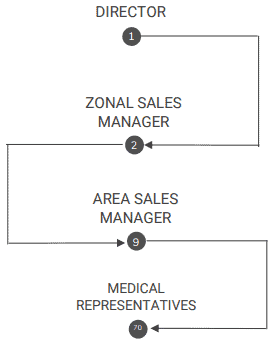 Organization Structure